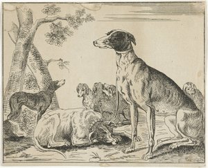 hundekennel af Anonymous