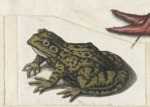 Blikke Lombard album (serietitel) af Anonymous