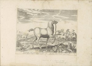Kudde wilde paarden Børnehestevæddeløb (titel på objekt) Paardenrassen uit de Koninklijke stallen van Don Juan van Austria (serietitel) En hest, hvor alle slags adelige: udvalgt fra forskellige dele af verden kendetegnet ved hestes adfærd (...) af Anonymous