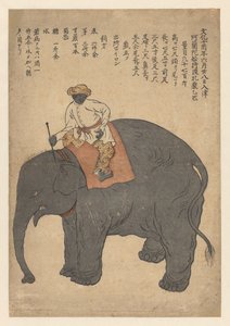 Elefant bragt af et hollandsk skib i 1813 af Anonymous