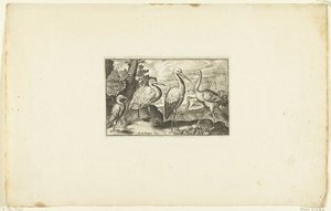 Stork mellem to andre fugle Volatilium varii generis (...) (serietitel) af Anonymous