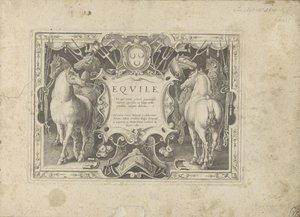 Ornamenteel cartouche met titel geflankeerd door paarden Hesten, hvor alle slags adelige: hestes opførsel adskilt fra forskellige dele af verden udvalgt (...) (serietitel på objekt) af Anonymous