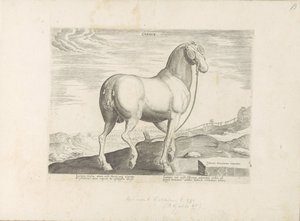 En hest fra Korsika Hjerte (titel på objekt) Paardenrassen uit de Koninklijke stallen van Don Juan van Austria (serietitel) Hesten, hvor alle slags adelige: hestes opførsel adskilt fra forskellige dele af verden udvalgt (...) (serietitel på obje af Anonymous