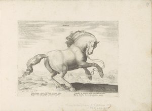 Paard uit Danemarken Dansk (titel på objekt) Paardenrassen uit de Koninklijke stallen van Don Juan van Austria (serietitel) Hesten, hvor alle slags adelige: hestes opførsel adskilt fra forskellige dele af verden udvalgt (...) (serietitel på ob af Anonymous