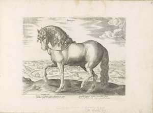 Paard ud Friesland Phryso (titel på objekt) Paardenrassen uit de Koninklijke stallen van Don Juan van Austria (serietitel) Hesten, hvor alle former for adelsmænd: hestes opførsel adskilt fra forskellige dele af verden udvalgt (...) (serietitel på ob af Anonymous