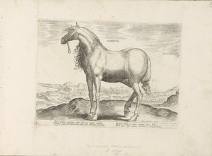 Paard fra Grækenland Achivus (titel på objekt) Paardenrassen uit de Koninklijke stallen van Don Juan van Austria (serietitel) Hesten, hvor alle former for adelsmænd: hestes opførsel adskilt fra forskellige dele af verden udvalgt (...) (serietitel på af Anonymous
