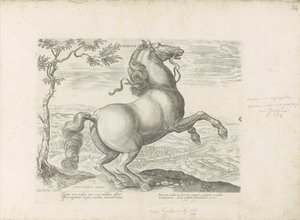 Paard ud Toscane Toscana (titel på objekt) Hesten, hvor alle slags adelige: hestes opførsel adskilt fra forskellige dele af verden udvalgt (...) (serietitel på objekt) af Anonymous