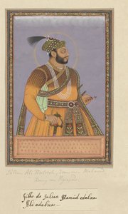 Portræt af Ali Adil-shah, søn af sultan Mahmud; efter sin far var han hersker over Bijapur af Anonymous
