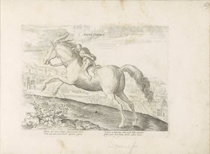 Renpaard mødte Ruiter maurisk hest (titel på objekt) Paardenrassen uit de Koninklijke stallen van Don Juan van Austria (serietitel) Hesten, hvor alle former for adelsmænd: opførsel af heste adskilt fra forskellige dele af verden udvalgt (...) (serietitel af Anonymous