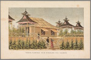 Tobaksplantagen af ​​de hollandske kolonier på verdensudstillingen i Amsterdam, 1883 Tobaksplantage i afsnittet Ned: Kolonier (titel på objekt) Minde om Amsterdam i 1883 (serietitel på objekt) af Anonymous