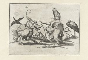 To monstre med kat, gås og stork. Groteske figurer omgivet af en rammelinje (serietitel) af Anonymous