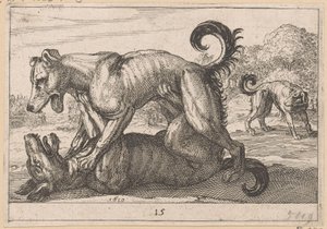 To parrings- og to kamphunde Fighting Animals (kopier) (serietitel) af Anonymous