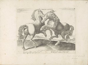 Twee vechtende paarden Horse Duel (titel på objekt) Hesten, hvor alle slags adelige: hestes opførsel adskilt fra forskellige dele af verden udvalgt (...) (serietitel på objekt) af Anonymous