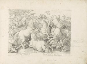 Vechtende paarden Hesten, hvor alle slags adelige: hestes opførsel adskilt fra forskellige dele af verden udvalgt (...) (serietitel på objekt) af Anonymous