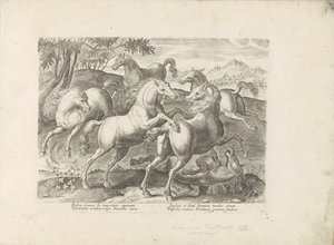 Vechtende paarden met een onder de voet gelopen paard Hesten, hvor alle slags adelige: hestes opførsel adskilt fra forskellige dele af verden udvalgt (...) (serietitel på objekt) af Anonymous