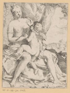 Venus forelsket af Anonymous