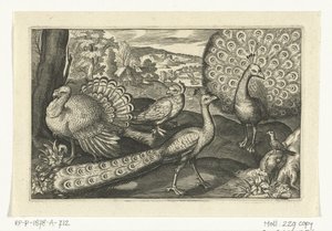 Fem fugle inklusive skestork Fugle og insekter (serietitel) af Anonymous