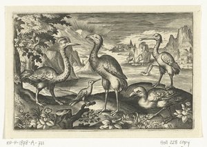 Fem fugle inklusive skestork Fugle og insekter (serietitel) af Anonymous