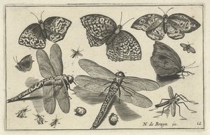 Sommerfugle og guldsmede Fugle og insekter (serietitel) af Anonymous