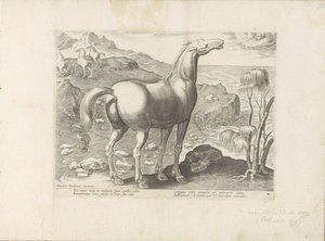 Zephyrus er en glædelig frugt Paardenrassen uit de Koninklijke stallen van Don Juan van Austria (serietitel) Hesten, hvor alle slags adelige: hestes opførsel adskilt fra forskellige dele af verden udvalgt (...) (serietitel på objekt) af Anonymous