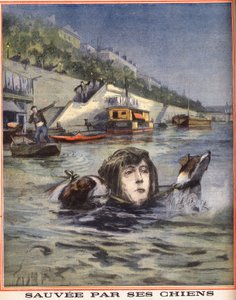 En kvinde falder i Seinen bliver reddet af sine hunde i Paris. Indgravering i "" Le petit parisien"" den 14/08/1910. Privat samling. af Anonymous Anonymous