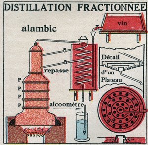 Ændringer i tilstande: dampe. Fraktioneret destillation af vin. Anonym illustration fra 1925. Privat samling. af Anonymous Anonymous