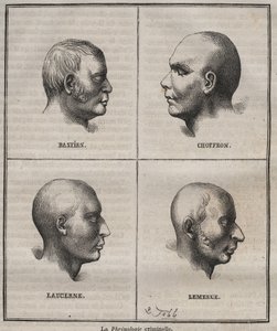 Kriminel frenologi i Brest Bagne (portrætter, der skildrer de fysiske karakteristika af forskellige typer kriminelle). Indgravering i "Fangernes historie fra deres skabelse til i dag" (1877) af Pierre Zaccone (1817-1895) (Colonia Penale - Penal af Anonymous Anonymous