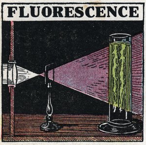 Fluorescens: bevis på kroppens fluorescens. Anonym illustration fra 1925. Privat samling. af Anonymous Anonymous