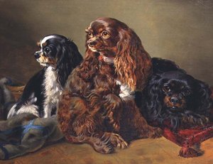 King Charles Spaniels af Anonymous Anonymous