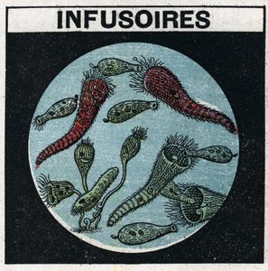 Lysprojektion: brug af en projektionslanterne til at observere infusioner. Anonym illustration fra 1925. Privat samling. af Anonymous Anonymous