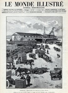 Maritim handel: gøen af en ankomst af vagtler fra Egypten i havnen i Marseille. En avis. Stik i “Le monde illustree”” fra 1892. Privat samling. af Anonymous Anonymous