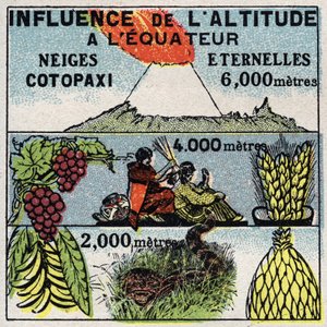 Meteorologi: højdens indflydelse på klimaet. Anonym illustration fra 1925. Privat samling. af Anonymous Anonymous