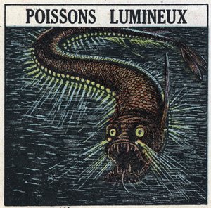 Fosforescens: lysende fisk. Anonym illustration fra 1925. Privat samling. af Anonymous Anonymous