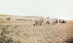 Fotografi fra et personligt album af en infanterieløjtnant under de første måneder af Første Verdenskrig (1., Iere af Anonymous Anonymous