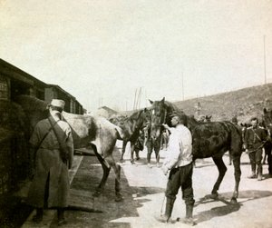 Fotografi fra et personligt album af en infanterieløjtnant under de første måneder af Første Verdenskrig (1., Iere af Anonymous Anonymous