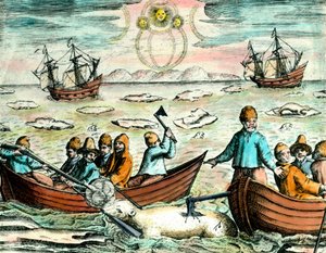 Isbjørnejagtscene i Canada. 1700-tals gravering Privat samling af Anonymous Anonymous