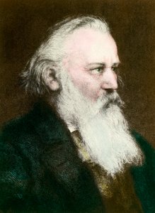 Portræt af Johannes Brahms (1833-1897), tysk komponist"" Indgravering af det 19. århundredes privatsamling af Anonymous Anonymous