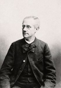 Portræt af Louis Eugene Pouillet (1835-1905) Advokat, privat samling af Anonymous Anonymous