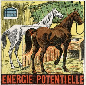 Potentiel energi: heste hviler i en stald. Anonym illustration fra 1925. Privat samling. af Anonymous Anonymous