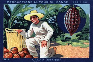 Produktioner over hele verden: Kakao i Mexico. Chromolithography fra 1933 i "" Joseph-Milliat Album"" af Anonymous Anonymous
