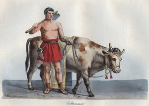Ofre - victimarius (handler af dyr bestemt til ofring) (Den, der pågreb ofringen og slog ofrene) indgravering fra "" Anvendelser og skikke for alle mennesker i universet. Det er historien om regeringen, lovene, militsen, d af Anonymous Anonymous
