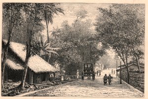 Udsigt over en gade fra Colombo i Ceylon (Sri Lanka). Indgravering i "The Catholic Missions in the XIXth Century"" af Louis-Eugene (Louis Eugene) Louvet. privat samling. af Anonymous Anonymous