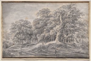 Et spor på kanten af en skov med en bonde, der bærer får af Anthonie Waterloo