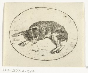 liggende hund af Anthonie van den Bos