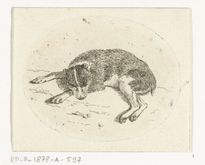 liggende hund