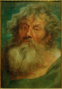 Hovedet af en gammel mand af Anthony van Dyck