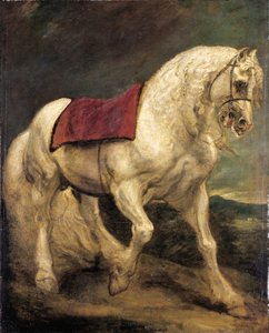En grå hingst med tøjle, med sadeldug og delvist flettet manke: en modello af Anthony van Dyck