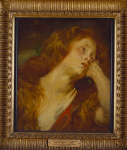 En ung kvinde, brystlængde, hviler sit hoved på sin hånd af Anthony van Dyck