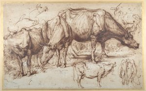 Kvæg på græs, ca. 1618-20 (pen og blæk med vask på papir) af Anthony van Dyck