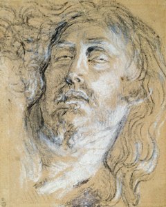 Hovedet af den døde Kristus (kul og kridt på papir) af Anthony van Dyck